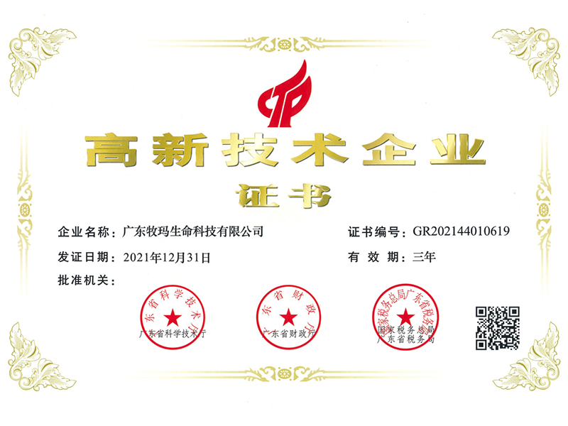 High and new technology enterprises	